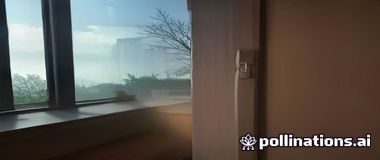 证件照换背景效果展示，白底照片换成蓝底标准证件照，抠抠图自动识别人脸轮廓